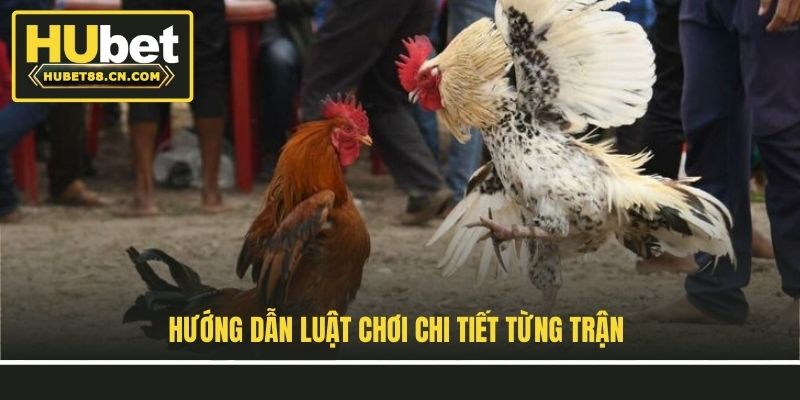 Hướng dẫn luật chơi chi tiết từng trận