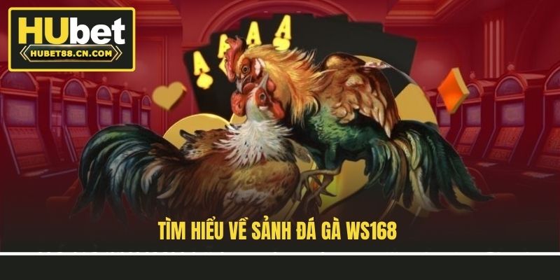 Tìm hiểu về Sảnh Đá Gà Ws168
